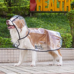 Pet Amazon Large Dog Transparent Outdoor Raincoat Golden Retriever Labrador Great Dane Large Dog Dog Clothes