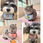 Pet Scarf