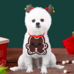 Pet Scarf
