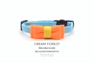 Pet Safety Buckle Collar