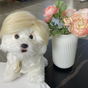 Cat and dog pet wig