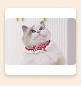 Cat and dog drool bibs