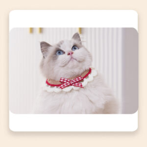 Cat and dog drool bibs
