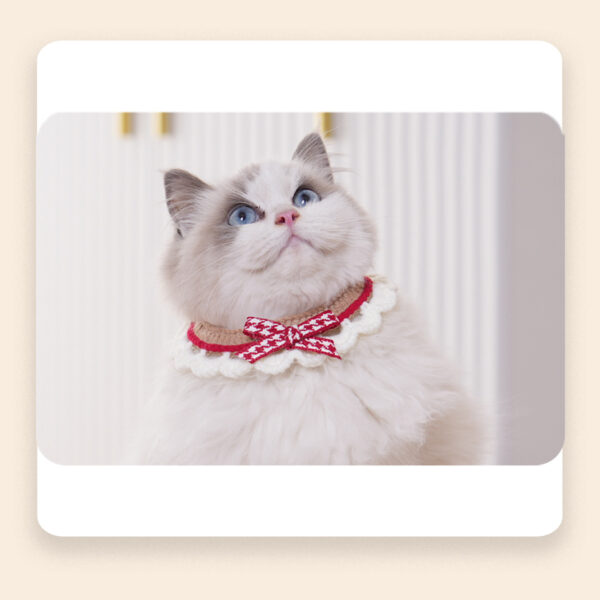 Cat and dog drool bibs